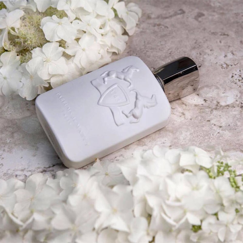 پارفومز د مارلي گالووي (گلووي)